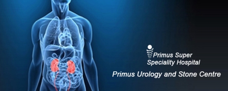 primus urology- image